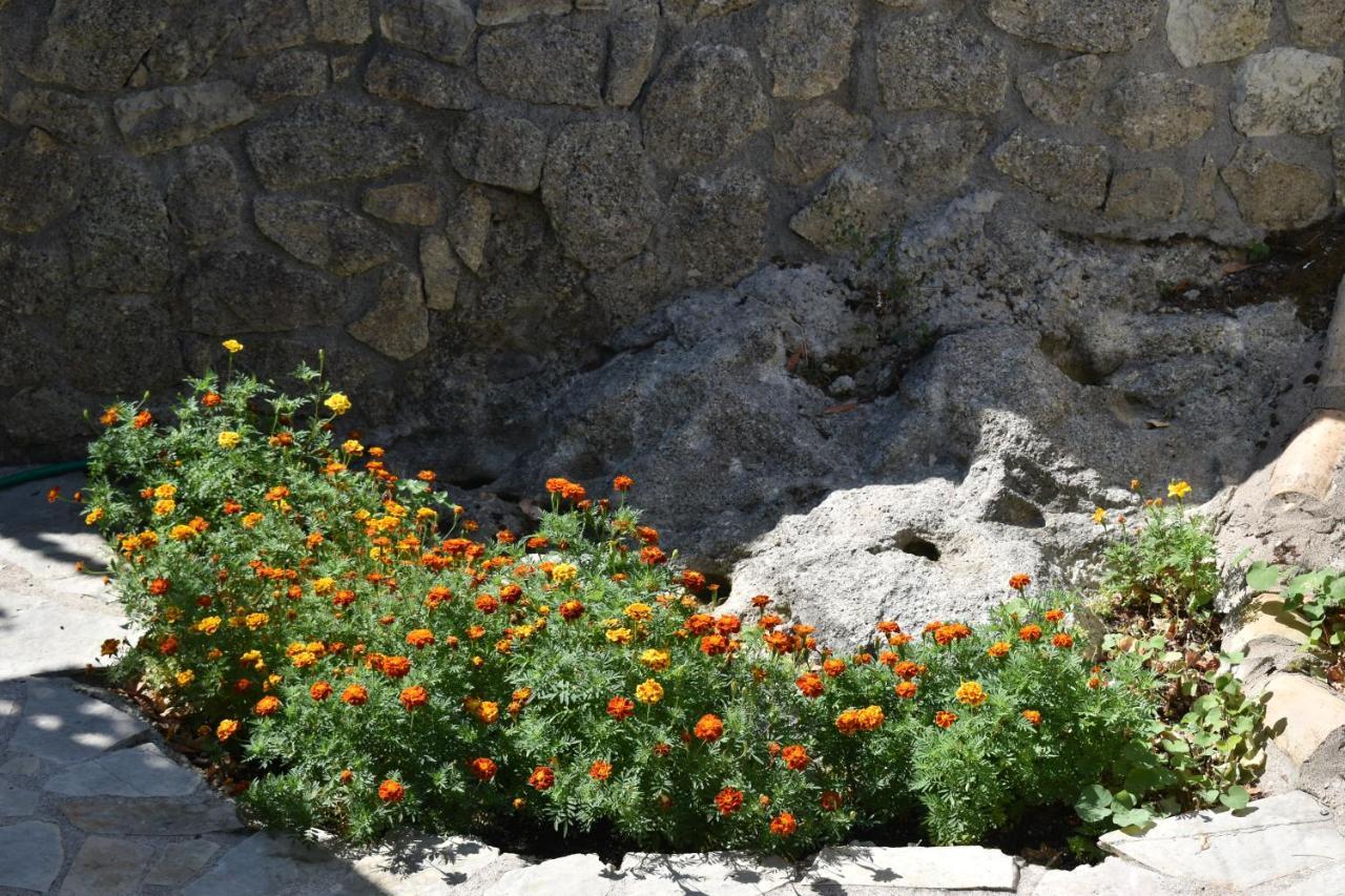 Estate Dafnopanagia Villa Magda Asprogerakata 外观 照片